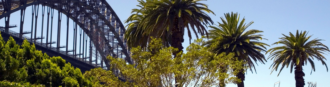 ddos压力测试网页端